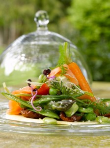 tarte-jeunes-légumes1ok