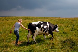 jeune-fille-et-vache